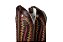 Botas mr West solado CARRAPETA B36 2511 OURO Fóssil tabaco Cano fóssil tabaco - Imagem 9