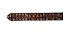 Cinto feminino Paul Western - Imagem 14