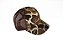 Boné Importado Cabela's – Throwback Trucker | Camuflado - Imagem 6