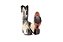 Bota Feminina Goyazes - Bico Fino - Austin Off White - Solado Couro - 266702 CC_01 - Imagem 9
