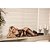 CONJUNTO YAFFA SEM BOJO EM TULE BORDADO Y7056 PRETO G - Imagem 3