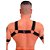 FETICHE HARNESS DE ELASTICO PRUS QUINTTUS PRETO - Imagem 2