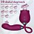 VIBRADOR DUPLO FLEXÍVEL COM 10 MODOS DE VIBRAÇÕES E 10 MODOS DE INTENSIDADES DE PULSAÇÃO - VB125 - Imagem 1