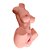 Masturbador Masculino Meio Corpo com Vagina e Ânus - Imagem 3