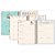 Planner Espiral Pooh 2025 Tilibra - Imagem 6
