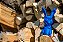 THE BAD RABBITS - Imagem 2