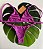 Biquini Rosa Gaia canelado - Top Fixo - Imagem 4