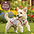 Roupa Pet Camiseta Cachorro PP ao XG Patrulha Canina - Imagem 2