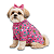 Roupa Proteção Solar Uv Cachorro Camiseta Pet Praia Piscina - Imagem 1