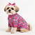 Roupa Proteção Solar Uv Cachorro Camiseta Pet Praia Piscina - Imagem 4