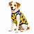 Roupa Pet Camiseta Cachorro Spider - Imagem 3