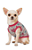 Roupa Pet Camiseta Cachorro  PP ao EXG Coração Vermelho - Imagem 2