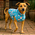Roupa Pet Camiseta Cachorro  PP ao EXG - Hello Kitty - Imagem 2