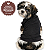 Roupa Pet Camiseta Cachorro PP ao EXG - Pretinha Básica - Imagem 2