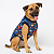 Roupa Pet Camiseta Cachorro PP ao EXG - Superman - Imagem 2