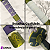 Katana Luffy Nidai Kitetsu Lâmina Aço Inox One Piece Cosplay Espada Samurai + Bainha Trabalhada - Imagem 6