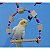 Kit Balanços para Aves - Imagem 12