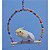 Kit Balanços para Aves - Imagem 14