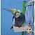 Plataforma para Aves - Imagem 1