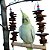 Balanços para Aves - Imagem 12
