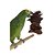 Brinquedo Papagaio - Imagem 5