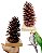 Brinquedos Pinha - Imagem 13