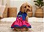 Vestido para Cães Girls Azul Royal com Rosa e Letras Bordadas -Gaby Moda Pet - Imagem 1