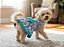Vestido para Cães Sofi Cor Azul com Triângulos Multi Colors Laço Azul com Pedrarias Coloridas - Gaby Moda Pet - Imagem 1