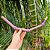 Tepi de Bambu Marrom e Roxo - Imagem 5