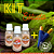 Kit Estudo Iniciante - Condor Del Viento - Imagem 1