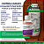 Herbicida Dominum xt Fracionado 100 ml - Composição Picloram, Aminopiralide e Triclopir - Imagem 2