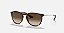 RAY-BAN ERIKA CLASSIC - RB4171 - Imagem 2