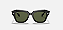 RAY-BAN STATE STREET -  RB2186 - Imagem 1