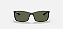 RAY-BAN - RB4179 - Imagem 1