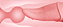 Vibrador clitoriano em formato de língua com 10 modos de vibração - VIPMIX - Imagem 16