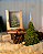 Pinheirinho na caixa - Natal - Imagem 1