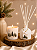 Kit Floresta Encantada - Imagem 1