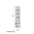 Modulo Ouro Preto Lateral Linea - Imagem 5