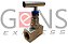 Válvula Globo Agulha 316L NPT PTFE 6000LBS - Imagem 1