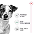 Ração Royal Canin Mini Adult Cães Adultos de Pequeno Porte 10 Meses a 8 Anos de idade - Imagem 5