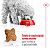 Ração Royal Canin Mini Adult Cães Adultos de Pequeno Porte 10 Meses a 8 Anos de idade - Imagem 6