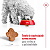 Ração Royal Canin Mini Adult Cães Adultos Maduros de Pequeno Porte A Partir de 8 Anos e até 10 kg - Imagem 6