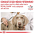 Ração Royal Canin Hepatic 2 KG Cães Adultos com Insuficiência Hepática Crônica - Imagem 9