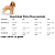 Ração Royal Canin Adult - Raça Poodle Caniche Adulto 1 kg- A partir de 10 meses de idade - Imagem 3