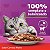 Ração Úmida para Gatos Adultos (+1 ano) Whiskas Sachê - Sabor Carne ao Molho - 85g - Imagem 3
