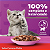 Ração Úmida para Gatos Filhotes - 2 a 12 meses - Whiskas Sachê - Sabor Carne ao Molho - 85g - Imagem 3