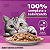 Ração Úmida para Gatos Adultos (+1 ano) Whiskas Sachê - Sabor Salmão ao Molho - 85g - Imagem 3