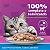Ração Úmida para Gatos Adultos Castrados (+1 ano) Whiskas Sachê - Sabor Peixe Pescado ao Molho - 85g - Imagem 3
