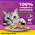 Ração Úmida para Gatos Adultos (+1 ano) Whiskas Sachê - Sabor Frango ao Molho - 85g - Imagem 2