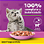 Ração Úmida para Gatos Filhotes - 2 a 12 meses - Whiskas Sachê - Sabor Frango ao Molho - 85g - Imagem 2